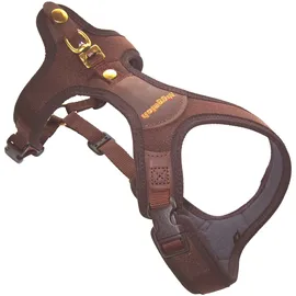 Niggeloh Follow Light,