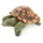 Folkmanis Handpuppen Fingerpuppe Mini Landschildkröte (2778)