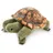 Folkmanis Handpuppen Fingerpuppe Mini Landschildkröte (2778)