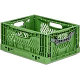 Proregal Profi-Klappbox Chameleon 18 x 30 x 40 cm 17-tlg. grün