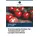 Verlag Unser Wissen Trocknungstechniken für Tomatenmark und Lycopin-Extraktion