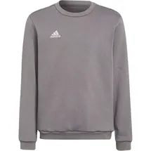 adidas Entrada 22 Grey 128