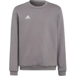 adidas Entrada 22 Grey 128