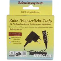 Riffelmacher Ruhe Flackerlicht Trafo, 2 x Flacker- 3 x Ruhelicht