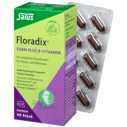 Floradix Eisen plus B Vitamine Kapseln