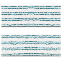 Polti Kit 2x Reinigungstücher PAEU0340