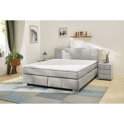 Boxspringbett ELENA - grau
