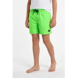 QUIKSILVER Everyday Volley YTH 14 grün 16