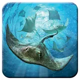 3D LiveLife Kork Matte - Stachelrochen von Deluxebase. Linsenförmige-3D-Kork Ozean Untersetzer. rutschfeste Getränkematte mit Originalkunstwerk lizenziert vom bekannt Künstler Jerry LoFaro