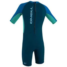 O'Neill Wetsuits Kinder Reactor Wetsuit, Slate/Sky/Ocean, 4