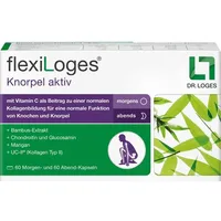 Dr. Loges Flexiloges Knorpel aktiv Kapseln 240 St.