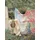 IRISETTE Wave 8689 Floral Mehrfarbig 155 x 220 cm + 80 x 80 cm