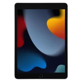 Apple iPad 10,2" (9. Generation 2021) 256 GB Wi-Fi + Cellular space grau