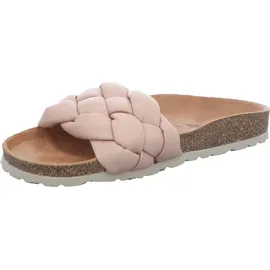 Verbenas Rai Roda rose 38