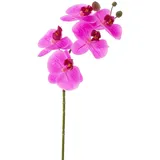 artplants.de Künstliche Blume Orchideenzweig Emilia, pink, 60cm - Künstliche Orchidee