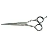 Kyone 480 - 5,5 Zoll