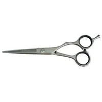 Kyone 480 - 5,5 Zoll
