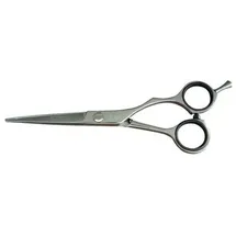 Kyone 480 - 5,5 Zoll