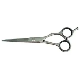 Kyone 480 - 5,5 Zoll