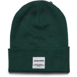 JACK & JONES JACLONG Knit Beanie Noos