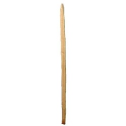 WoodLine Einzelne Stakete Kastanienholz, 1,00 m lang für...