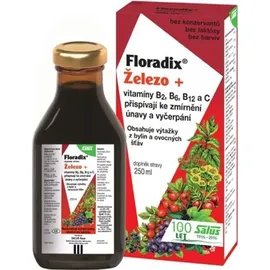 SALUS Floradix Elixir Flüssigkeit 250 ml