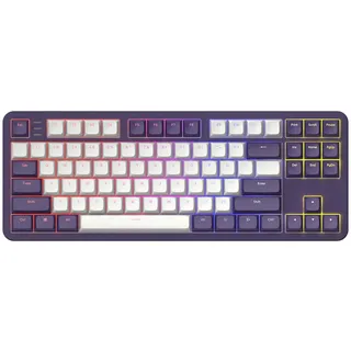 Dark Project ALU87A Violet Mechanische Gaming-Tastatur QWERTY US Layout