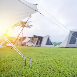DN DENNOV 6× Bodenanker,30cm Bodenpfähle,Verzinkter Stahl Bodenanker Trampolin,Bewehrungsstab Zeltheringe,Garten Pfähle,Camping Zelt Heringe Silber U