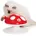 Catit Senses 2 0 Fliegenpilz rot