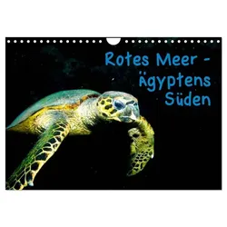 Rotes Meer - Ägyptens Süden (Wandkalender 2025 DIN A4 quer), CALVENDO Monatskalender