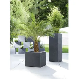 Scheurich C-Cube 240 38 x 38 x 33 cm stony black