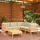 vidaXL Garten-Lounge-Set 6-tlg. creme Kiefer
