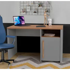 Forte Schreibtisch grau ¦ Maße (cm): B: 120 H: 73,8 T: 58.7