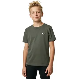 Salewa Graphic Kurzarm-t-shirt - Faded Green - 7-8 Jahre
