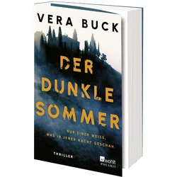 Der dunkle Sommer