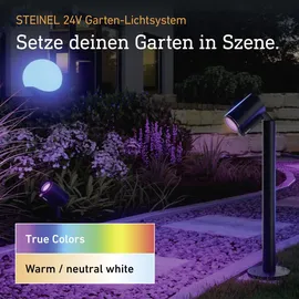 Steinel Gartenstrahler LED wetterfest IP65 inkl. Erdspieß Anthrazit
