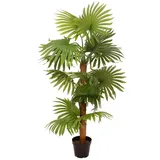 Europalms Fächerpalme, Kunstpflanze, 130cm