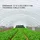 Vevor PE Gewächshausfolien 3,6 M Länge x 7,6 M Breite Transparent Treibhausfolien, 0,15 mm Dicke Folientunnel, reißfeste Gartenfolien aus Polyethylen als Plastikfolien für Abdeckungen im Außenbereich