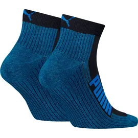 Puma BWT Cushioned Quarter Socken 2er Pack Blau/Grau 35-38