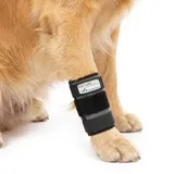 Medium Vorderlauf Bandage für Hunde, Karpal Gelenk- & Knochenschutz für Hunde - geeignet für leichte Gelenkinstabilitaeten - leichte Bänderdehnungen - Leckschutz und Verbandschutz nach OP (S)