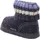 HAFLINGER Paul Grau 29