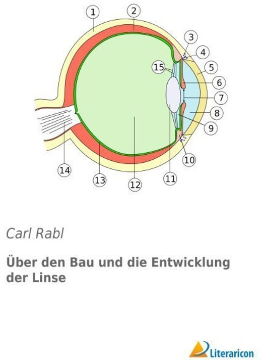 Über Den Bau Und Die Entwicklung Der Linse - Carl Rabl, Kartoniert (TB)