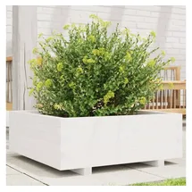 vidaXL Pflanzkübel Weiß 70x70x26,5 cm Massivholz Kiefer