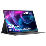 Mobile Pixels Fold 16 QHD 16"