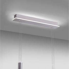 Q-Smart-Home Paul Neuhaus Q-ETIENNE LED-Hängeleuchte, 2-flammig