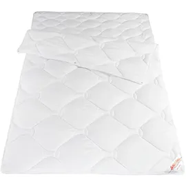 schlafgut Schlaf-Gut »TENCELTM« 4-Jahreszeiten Füllung: TencelLyocell-Faser 1 Stk. tlg. Bestes Feuchtigkeitsmanagement