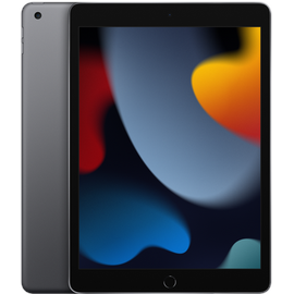 Apple iPad 10,2" (9. Generation 2021) 256 GB Wi-Fi space grau