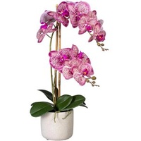 Creativ-green Kunstblume Orchidee, Phalaenopsis, pinkcreme, im Zement-Topf, Höhe 60 cm