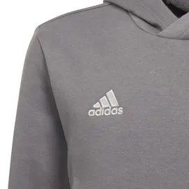 Adidas Entrada 22 Sweat Hoodie Team Grey Four, 176