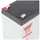 YUASA NPW45-12 12 Volt 8500 mAh 1 St.
